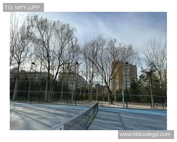 北京网球队转型之路的得与失分析与展望 北京网球队转型之路的得与失分析与展望