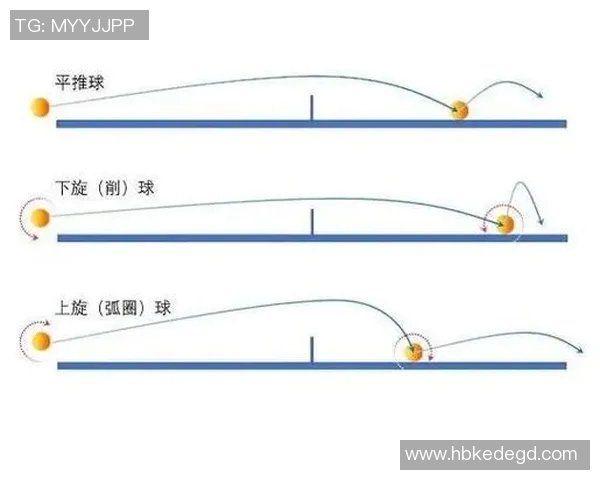 深入探讨杭州乒乓球队近期状态表现与数据分析结果