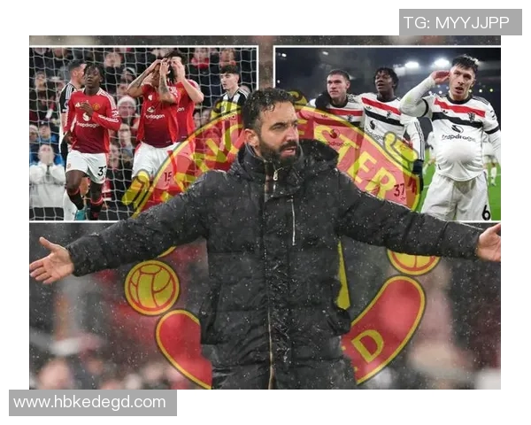 英超网球纪实深圳网球队逆袭之路的辉煌与挑战