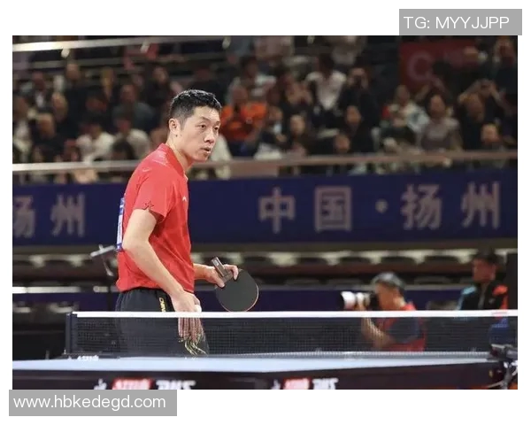 体育实时数据与赵敏畅谈乒乓球生涯的辉煌与挑战之路 体育实时数据与赵敏畅谈乒乓球生涯的辉煌与挑战之路