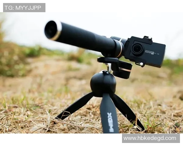 运动数据南京极限运动队的战术解析与控制打法深度剖析